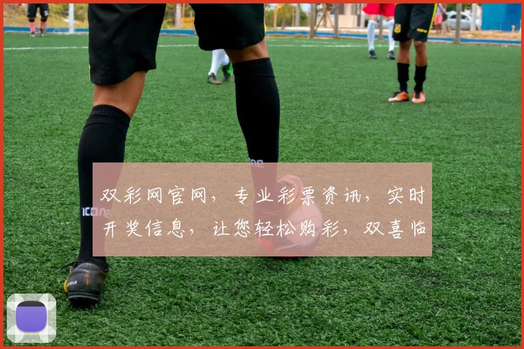 双彩网官网，专业彩票资讯，实时开奖信息，让您轻松购彩，双喜临门，中奖无忧