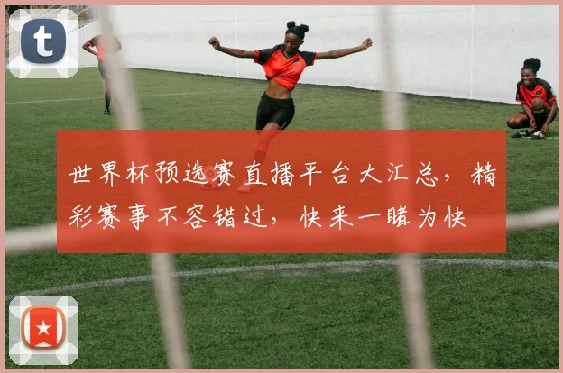 世界杯预选赛直播平台大汇总，精彩赛事不容错过，快来一睹为快