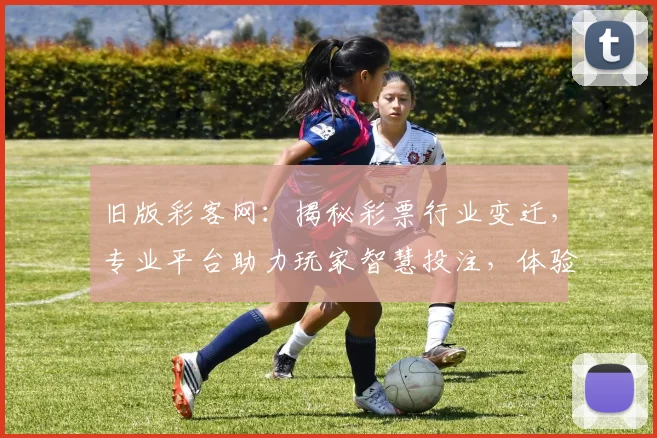 旧版彩客网：揭秘彩票行业变迁，专业平台助力玩家智慧投注，体验升级